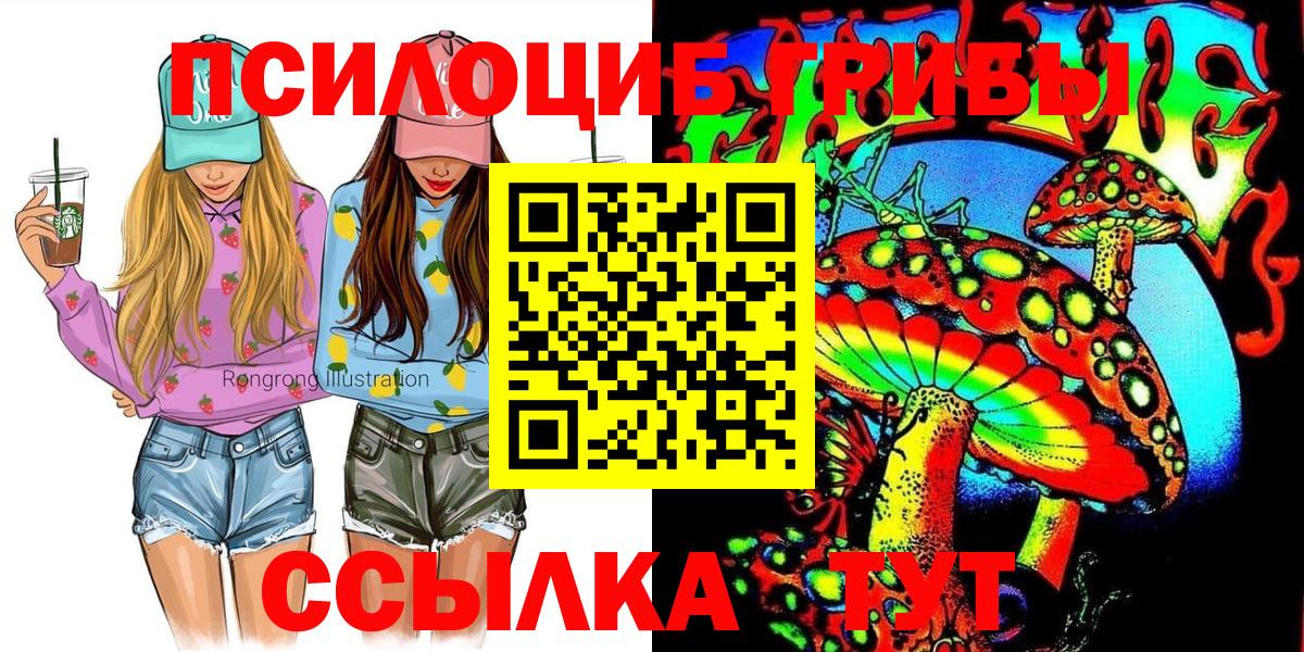 Заринск  Галлюциногенные грибы прущие грибы  Вход с VPN  Псилоцибиновые грибы мицелий 