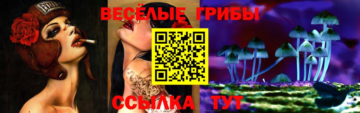 Галлюциногенные грибы мухоморы Заринск